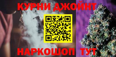 МДПВ Новозыбков