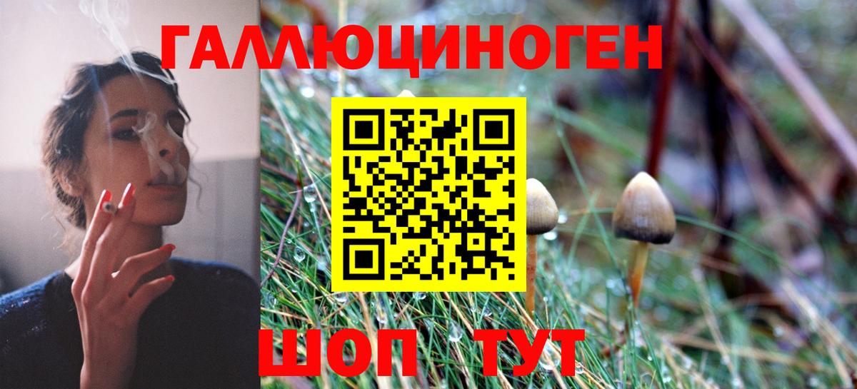 Рассказово  Галлюциногенные грибы Magic Shrooms  дарнет шоп  Вход с VPN 